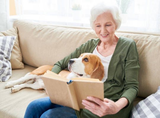 Portrait of happy senior woman enjoying leisure time at home sitting on comfortable couch with pet dog in her lap and reading books