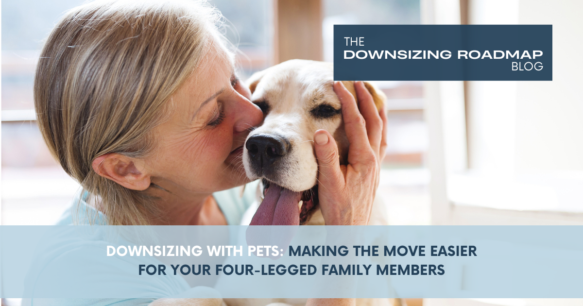 Dog lying on a rug surrounded by moving boxes in a cozy downsized home